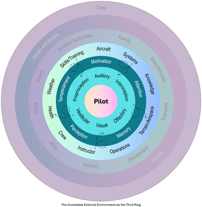 Graphic 3 - The Immediate External Environment