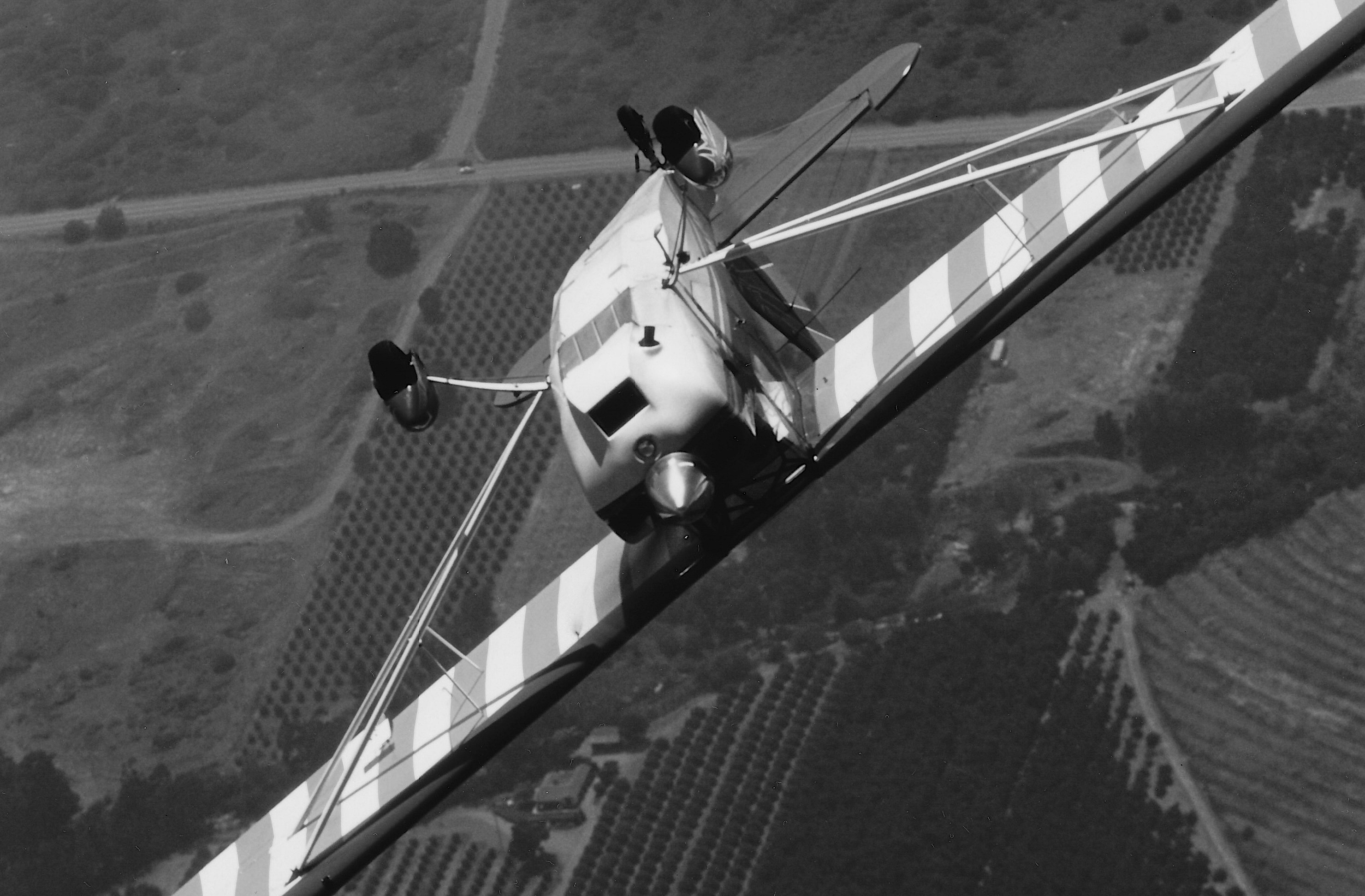 Lead Graphic - Decathlon Near Inverted